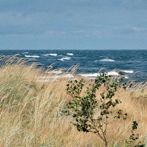 Galeriipilt 111
