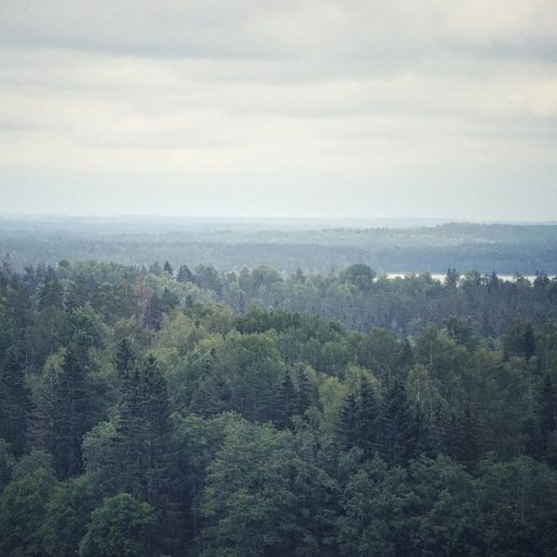 Galeriipilt 128